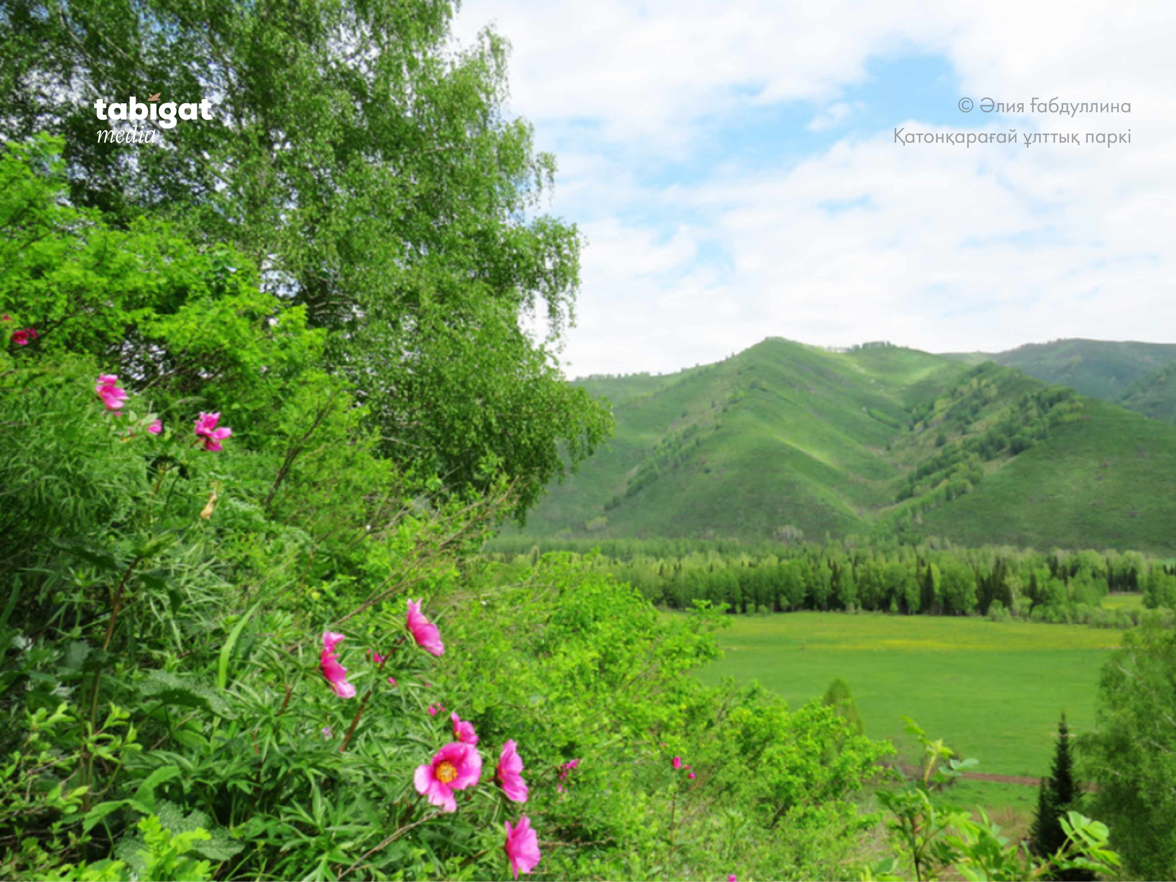 Лесбияндық азғындық watch online